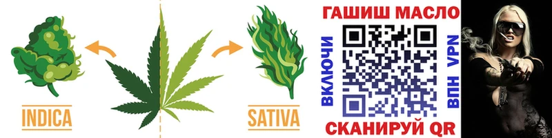 OMG сайт  Елабуга  ТГК THC oil 