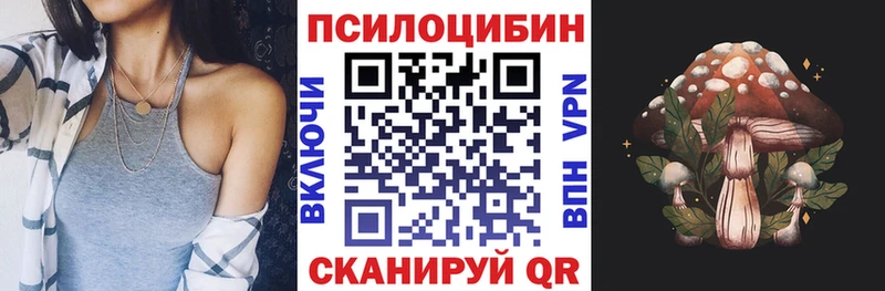 где продают наркотики  Елабуга  блэк спрут сайт  Галлюциногенные грибы MAGIC MUSHROOMS 