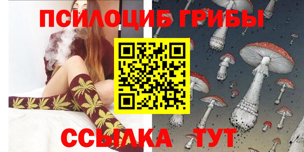 Елабуга  как найти закладки  Вход с VPN  Галлюциногенные грибы мухоморы 