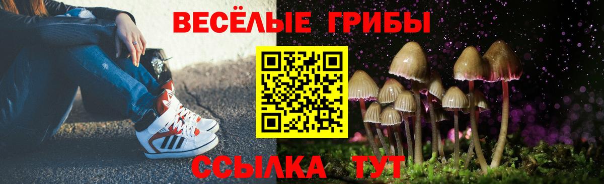 Псилоцибиновые грибы мухоморы Елабуга